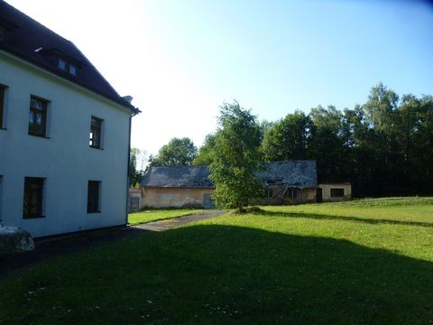 Foto 98